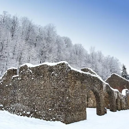 Zythogite 8 Personnes Avec Jardin, Bbq Apartamento Tintigny